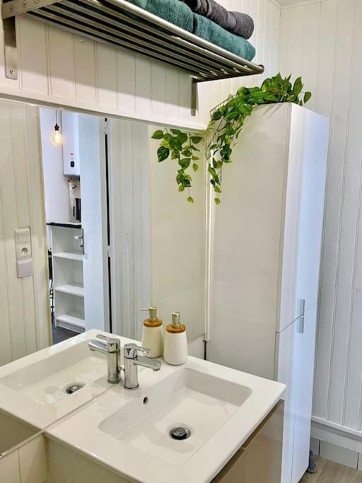 Studio Verdoyant Avec Exterieur Maisons-Alfort Bagian luar foto